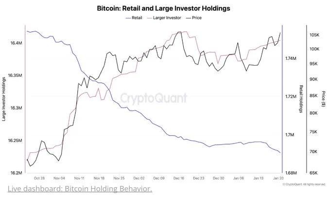 Bitcoin (BTC) retail and large investors