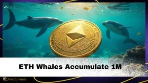 Ethereum Whales Accumulate Over 1 Million ETH, What Do Whales Know That You Don’t?