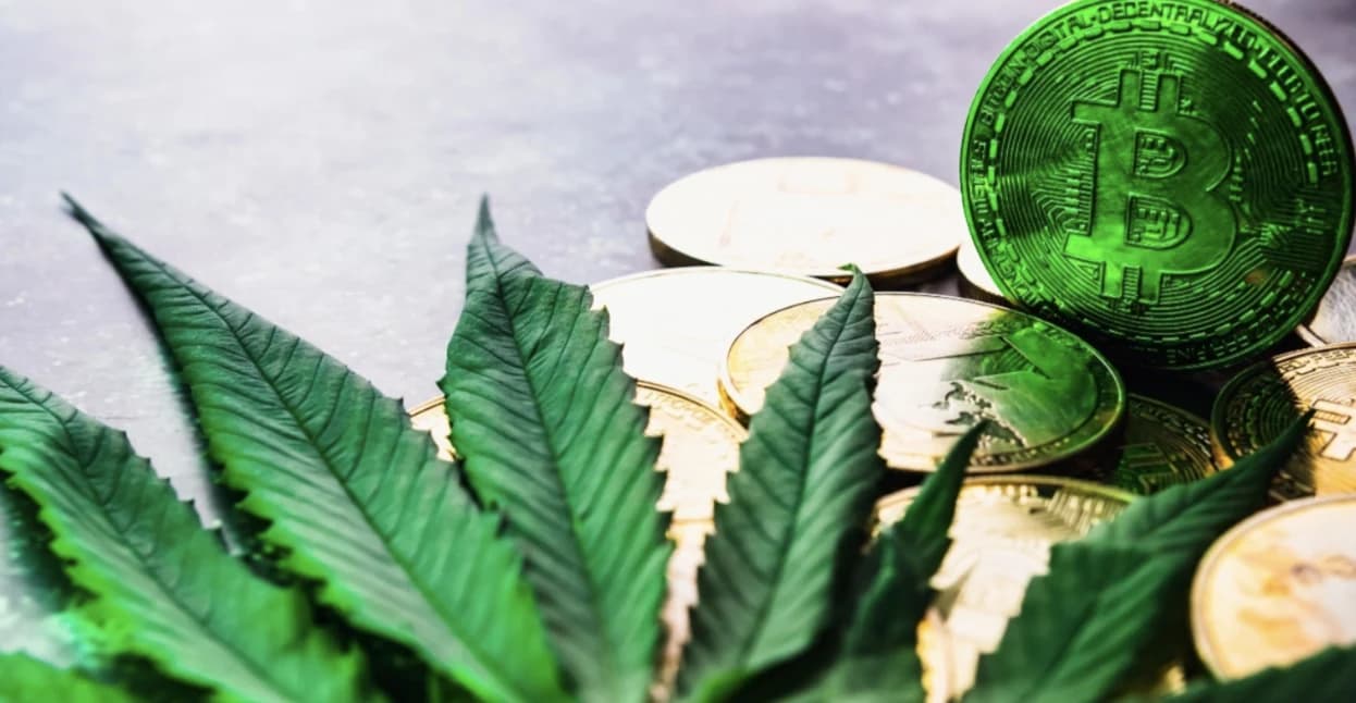 How the Cannabis Industry Is Riding the Wave of Crypto Integration