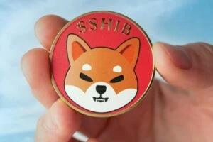 SHIB Burns Surge 62.58% as Shiba Inu Price Drops and Transactions Decline