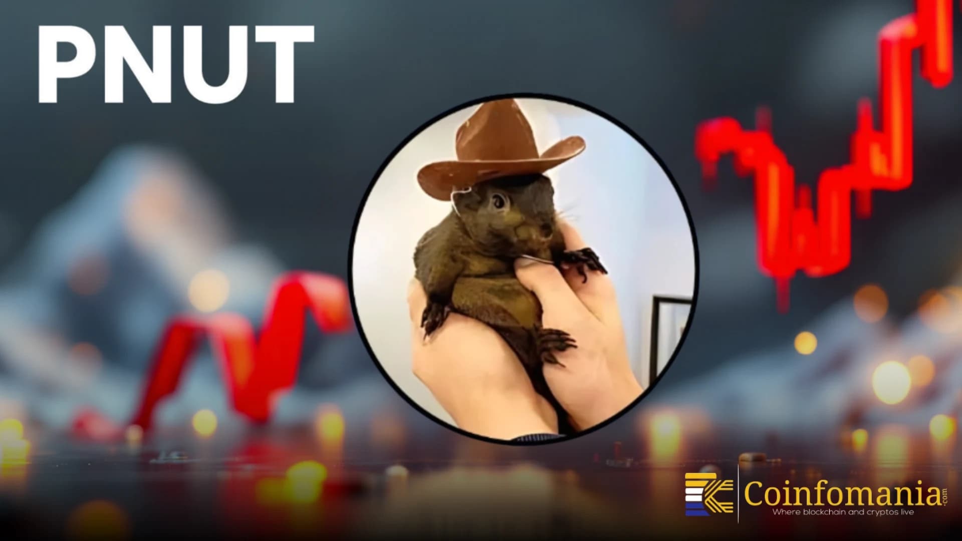 Why PNUT BELKA Move Has Crypto Traders Watching?