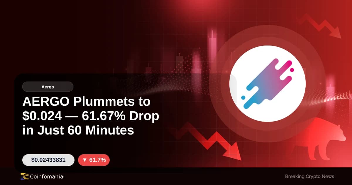 AERGO chute à 0,024 $ en seulement 60 minutes