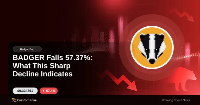 BADGER chute de 57,37%: ce que cette forte baisse indique