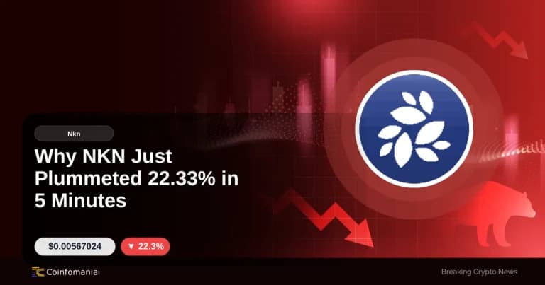 Why NKN Just Plummeted 22.33% in 5 Minutes