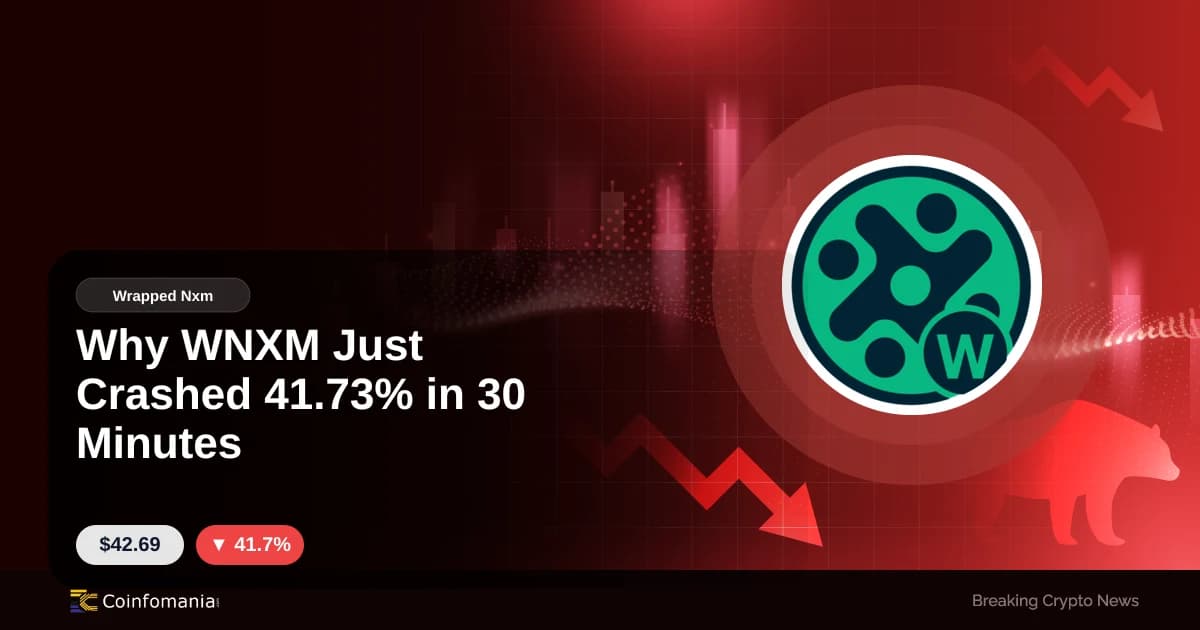 Pourquoi WNXM s’est effondré à 41,73% en 30 minutes?