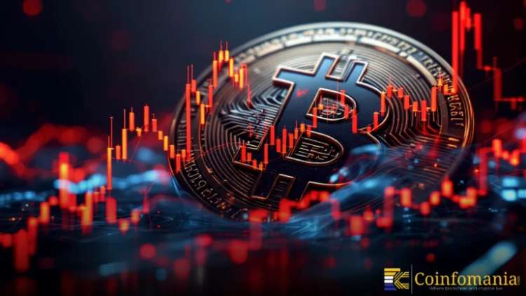 Bitcoin Wallet Growth Signals A Shift Toward Larger Holders