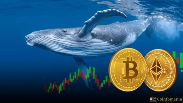 Bitcoin Whale Sells 2,000 BTC, Buys 48,942 ETH in $4B Flip