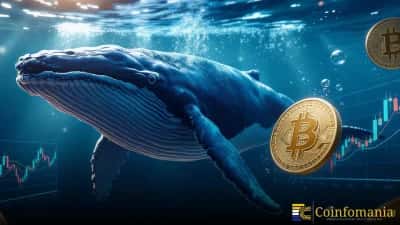 Bitcoin Whale Wallets Near 20,000 as Big Players Double Down During the Dip