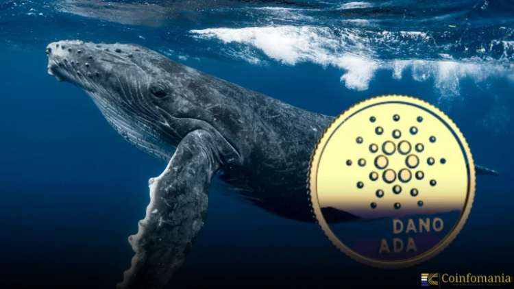 Cardano Enters Wyckoff Markup Amid $600M Row