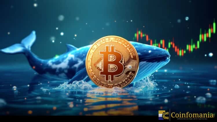 Cooling CPI And Strong Whale Accumulation Lift Bitcoin Near $70K, What Comes Next