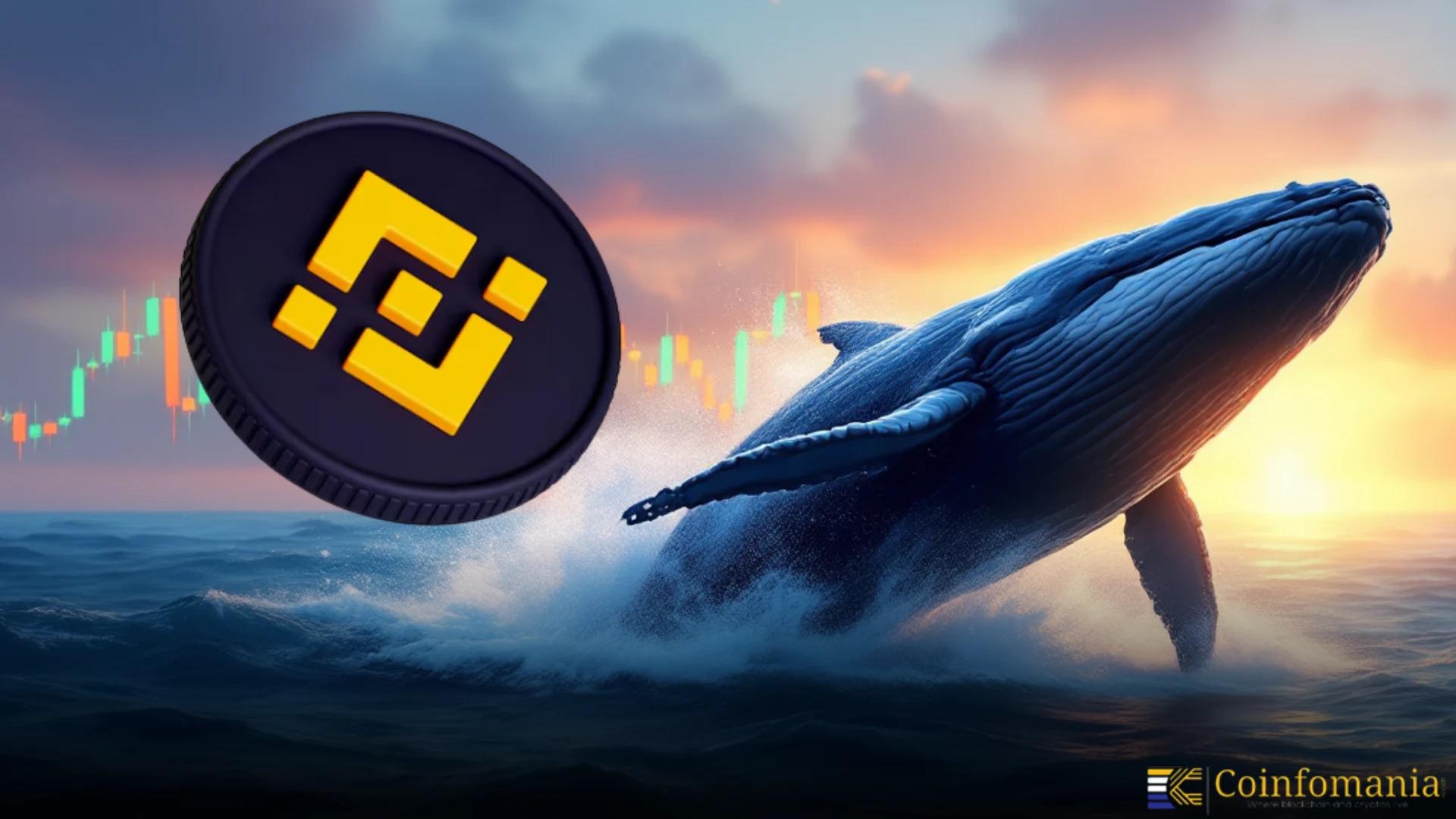 Crypto Whale 0x618b Buys Binance Life, Auto Tokens Worth $1.7M