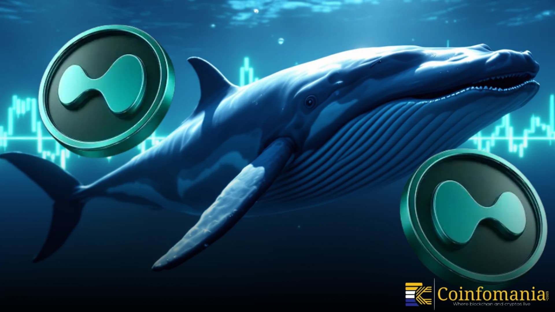 Insider Whale Opens $850M Bullish Bets on Crypto