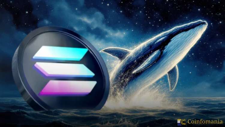 Whale Buys $47M in Solana, Boosting Market Confidence