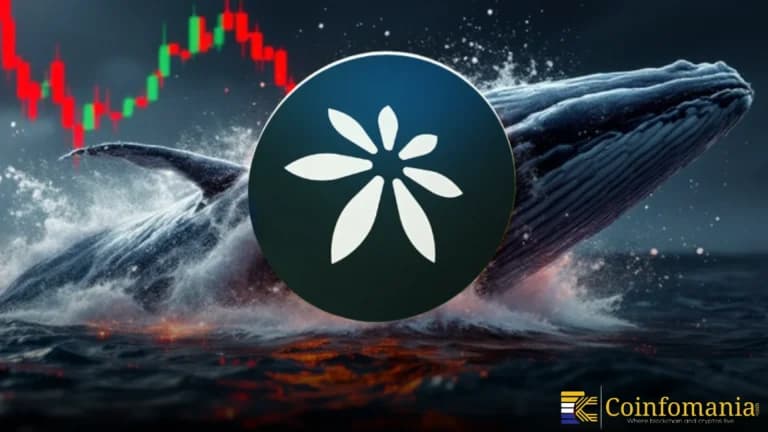 Whale Buys 1.26M EDEL as Testnet Users Cross 35K
