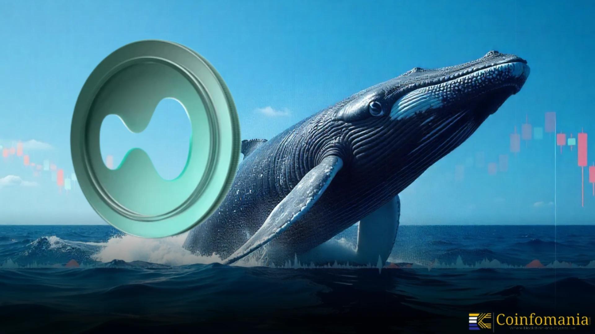 Whale Buys 396K HYPE Worth $18M, Still Has $6M USDC to Deploy