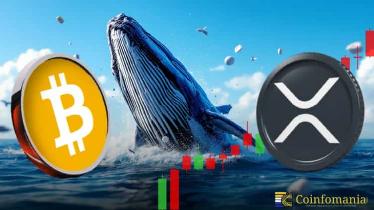 XRP vs Bitcoin: Which Is the Better Investment?