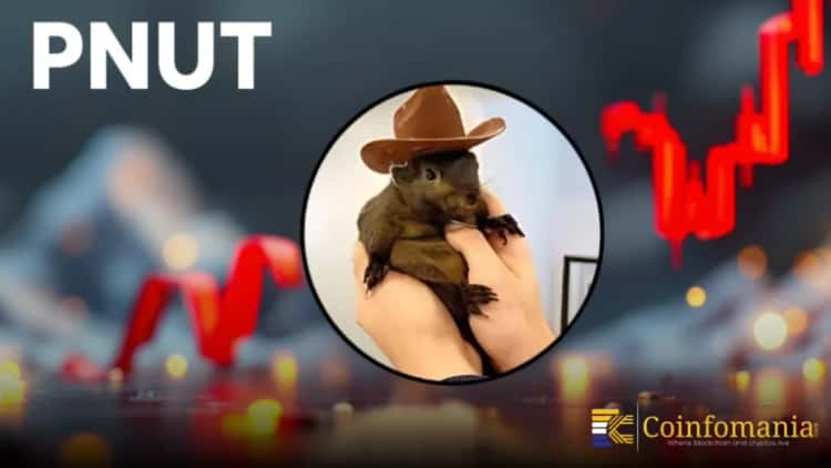 Why PNUT BELKA Move Has Crypto Traders Watching?