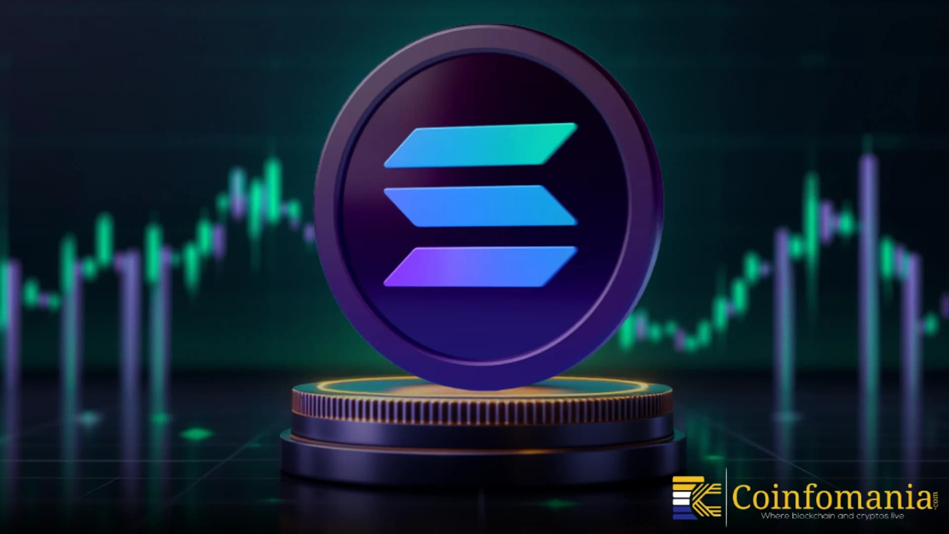 Why $BLACKWHALE Stands Out in the Solana Memecoin Market