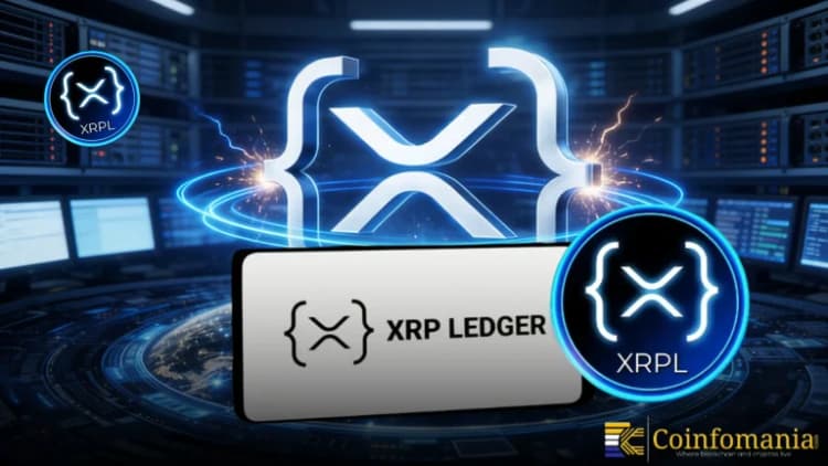 L’adoption de XRP s’accélère avec un nombre record de détenteurs et une activité réseau en hausse