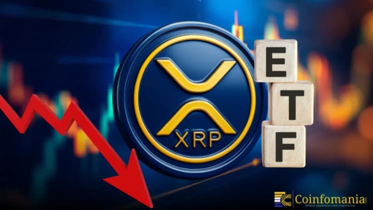 XRP ETFs Hit a Massive 15-Day Inflow Streak