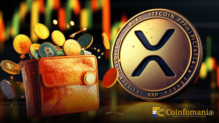 XRP Millionaire Wallets Increase for First Time Since September