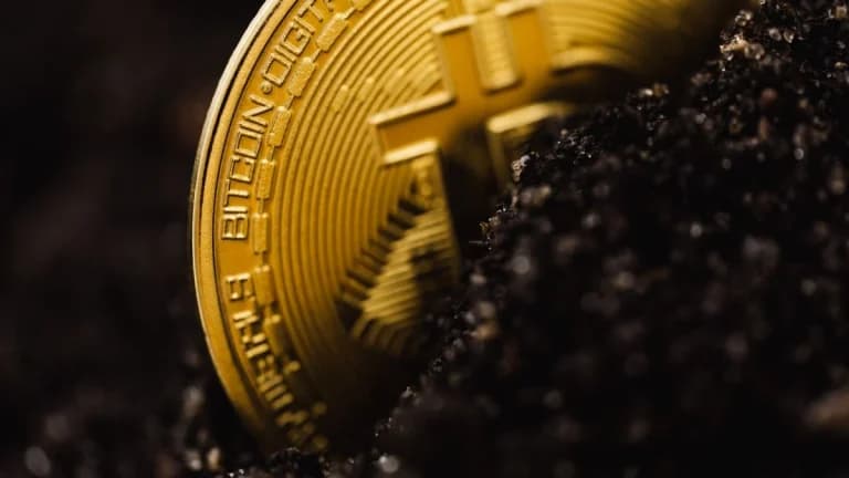 Historic Adoption of Stablecoin Model — Solana Community Reacts