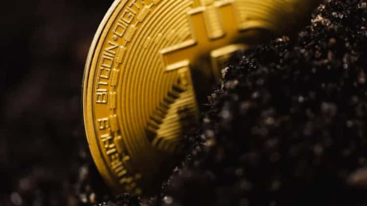 Historic Adoption of Stablecoin Model — Solana Community Reacts