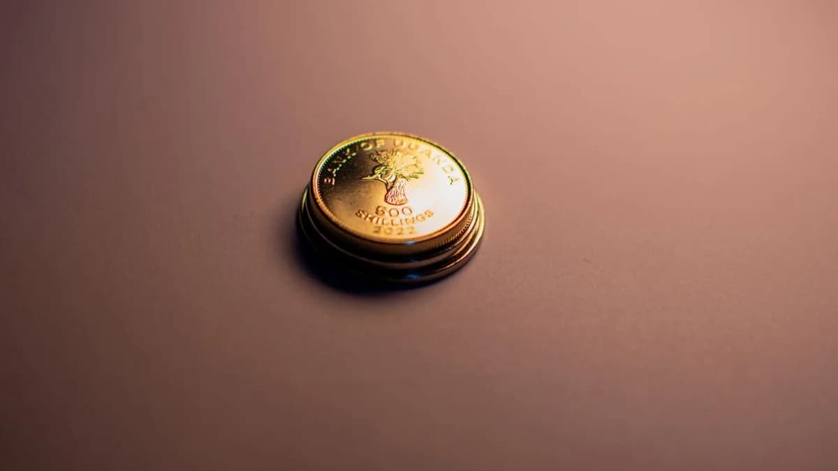 Vitalik Buterin amplifie les idées de la communauté