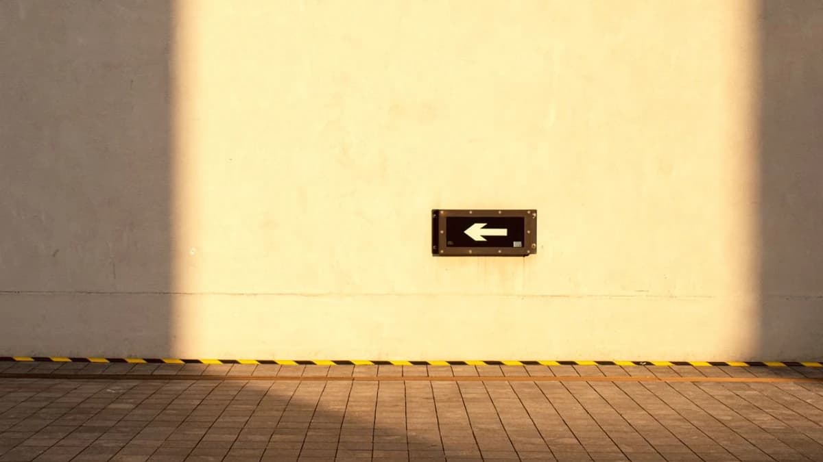 Positive Price Action Gains Traction as Bitcoin Dominance Rises — Implications for Investors